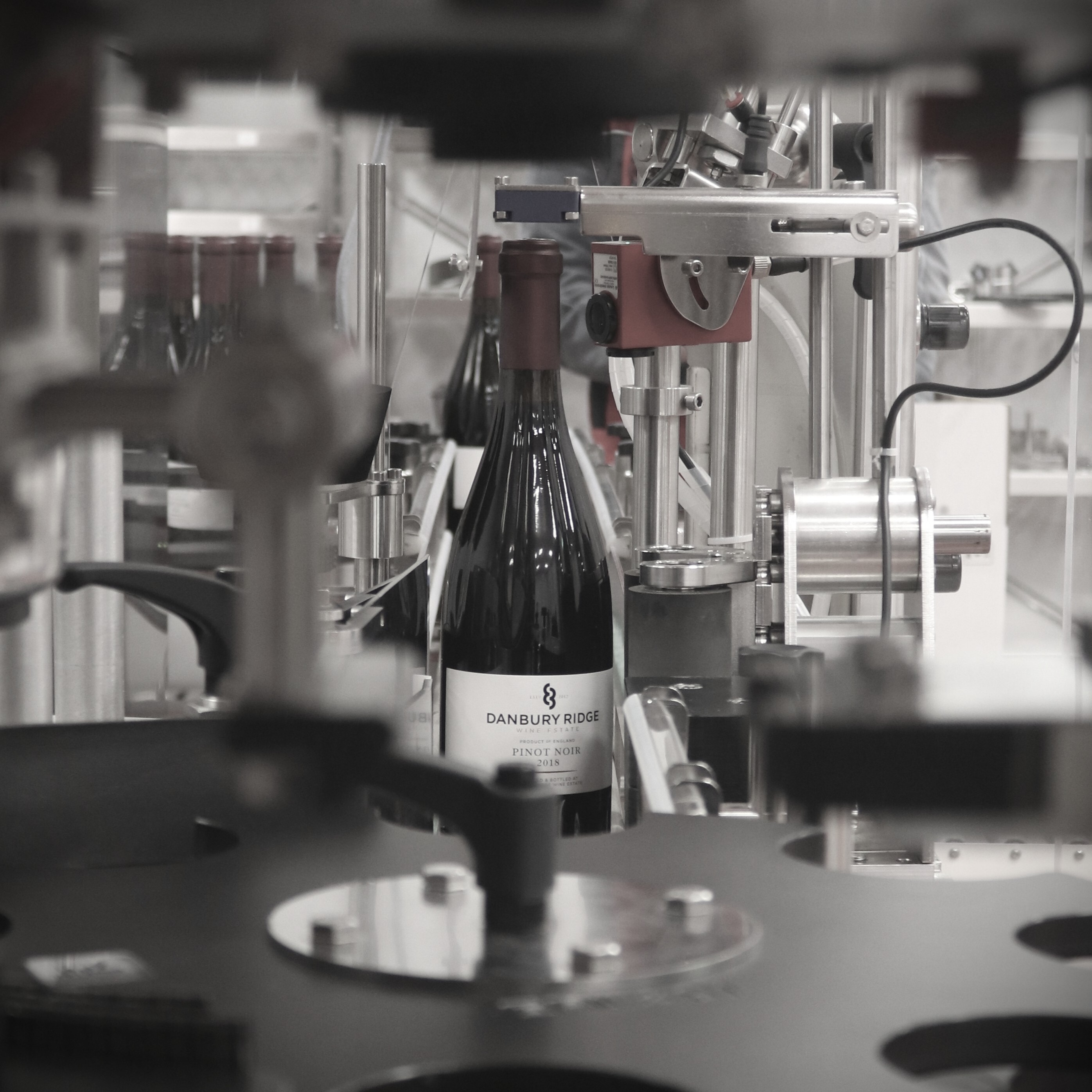 Highlights: Danbury Ridge Chardonnay 2022 at Le Vignoble